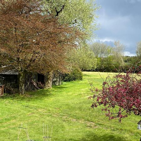 Horseford Lodge B&B South Molton Eksteriør billede