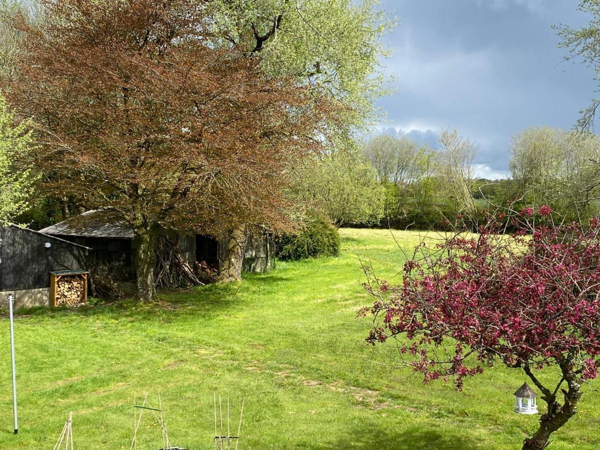 Horseford Lodge B&B South Molton Eksteriør billede